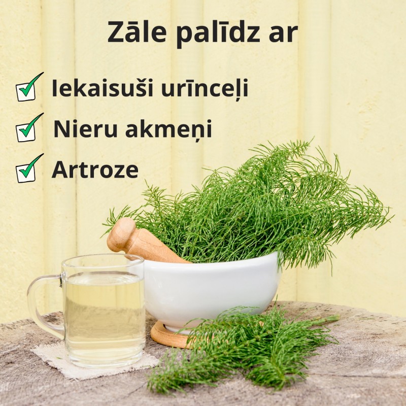 Horsetail - 70g