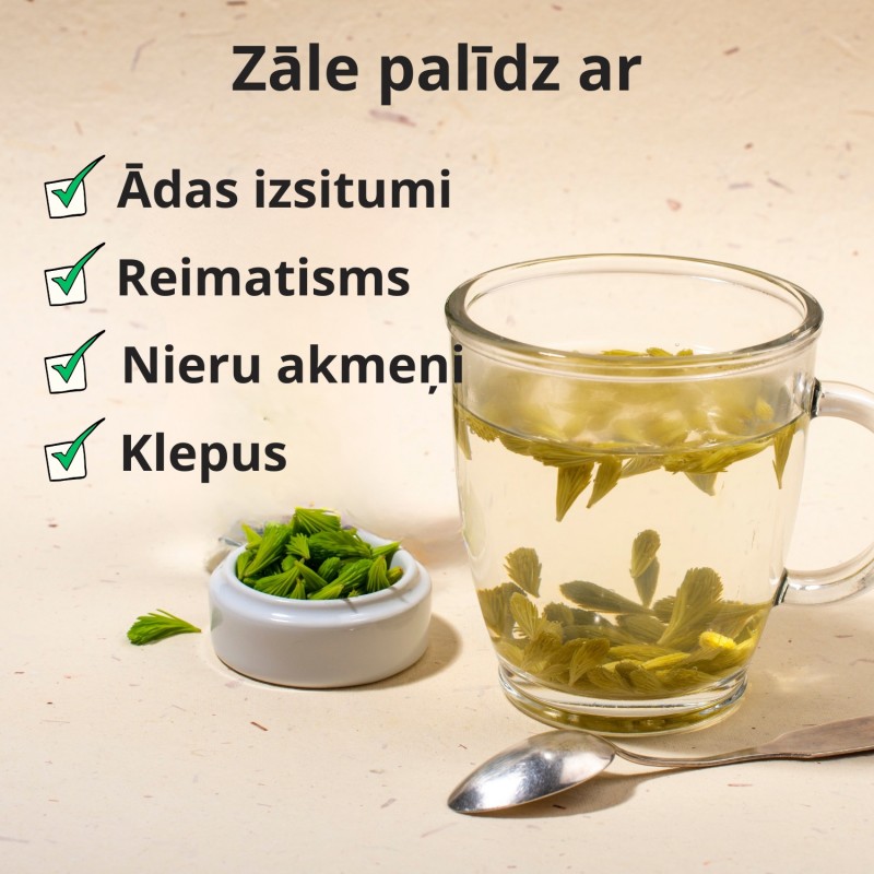 Priedes galiņi - 50g