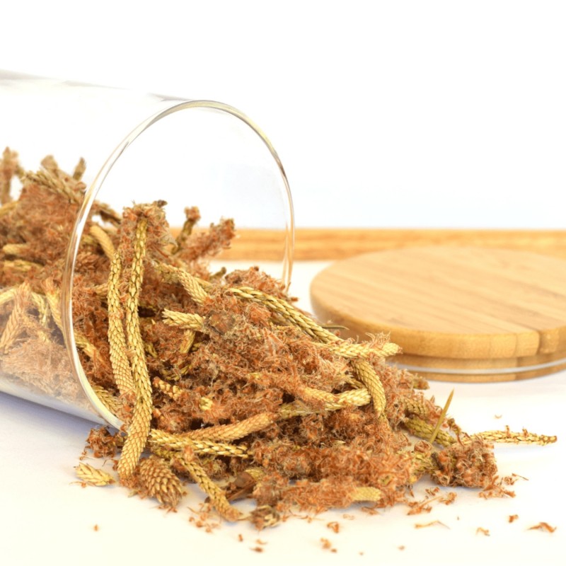 Priedes galiņi - 50g