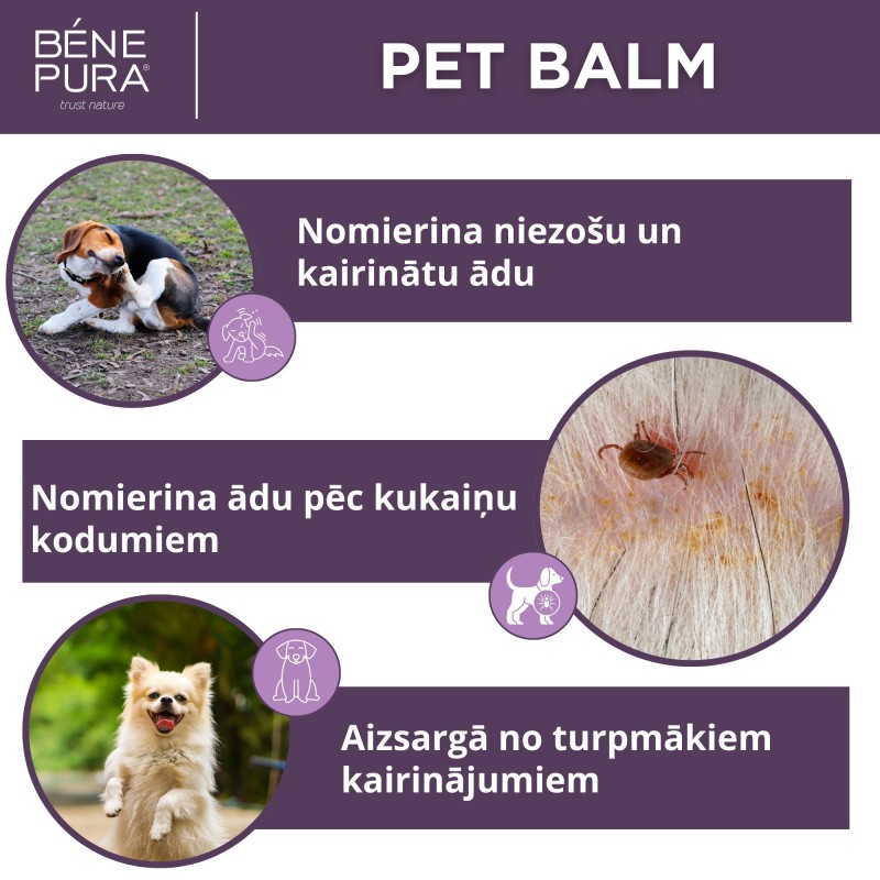 Komplekts Ziedes suņiem