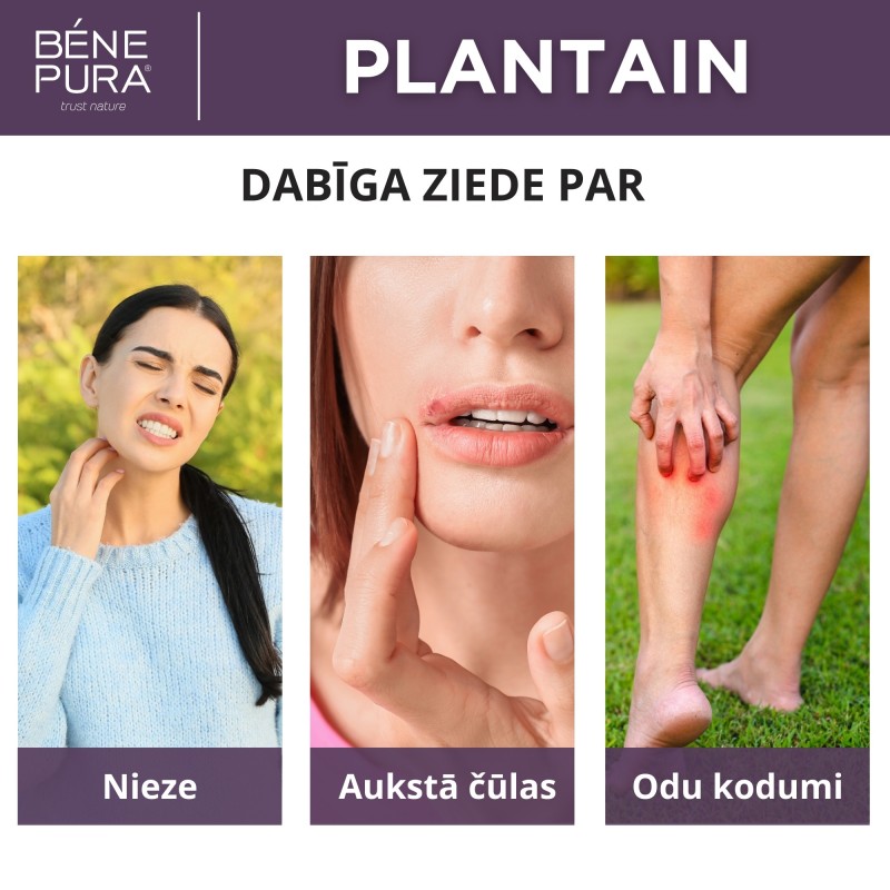 Komplekts Ziedes niezi