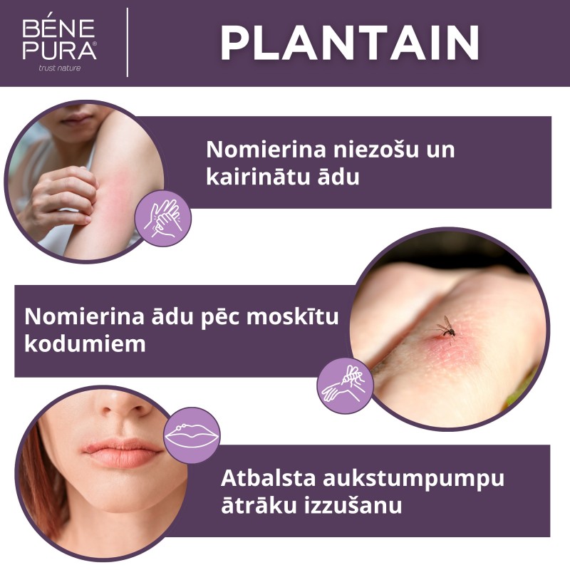 Komplekts Ziedes niezi