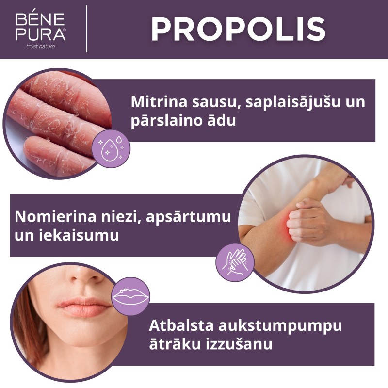 Komplekts Ziedes niezi