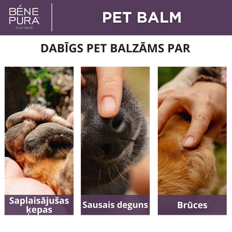 Komplekts Ziedes suņiem