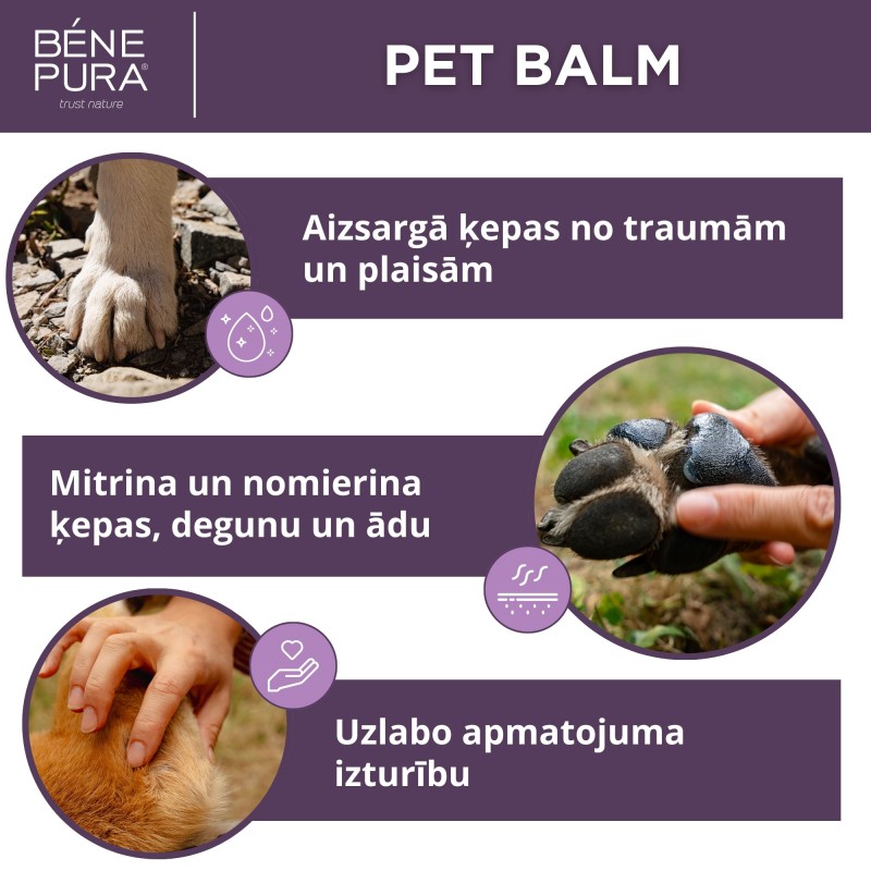 Komplekts Ziedes suņiem