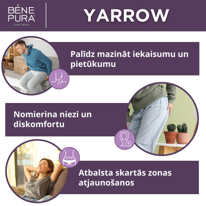 Komplekts Ziedes hemoroīdiem