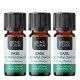 3x Bio Bazilika Ēteriskā eļļa - 5ml