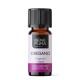 Bio Oregano Ēteriskā eļļa - 10ml