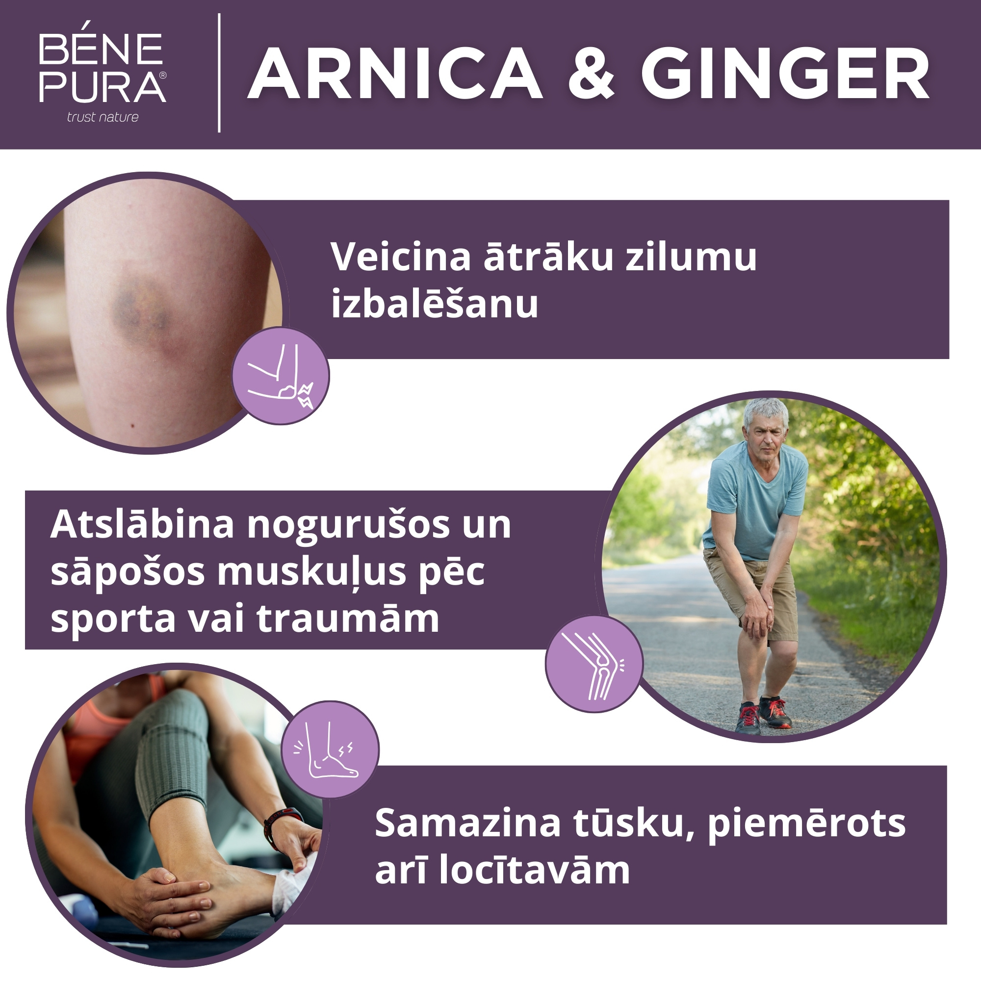 Komplekts "Ziedes locītavu sāpēm, muskuļu sāpēm un sasitumiem 2"