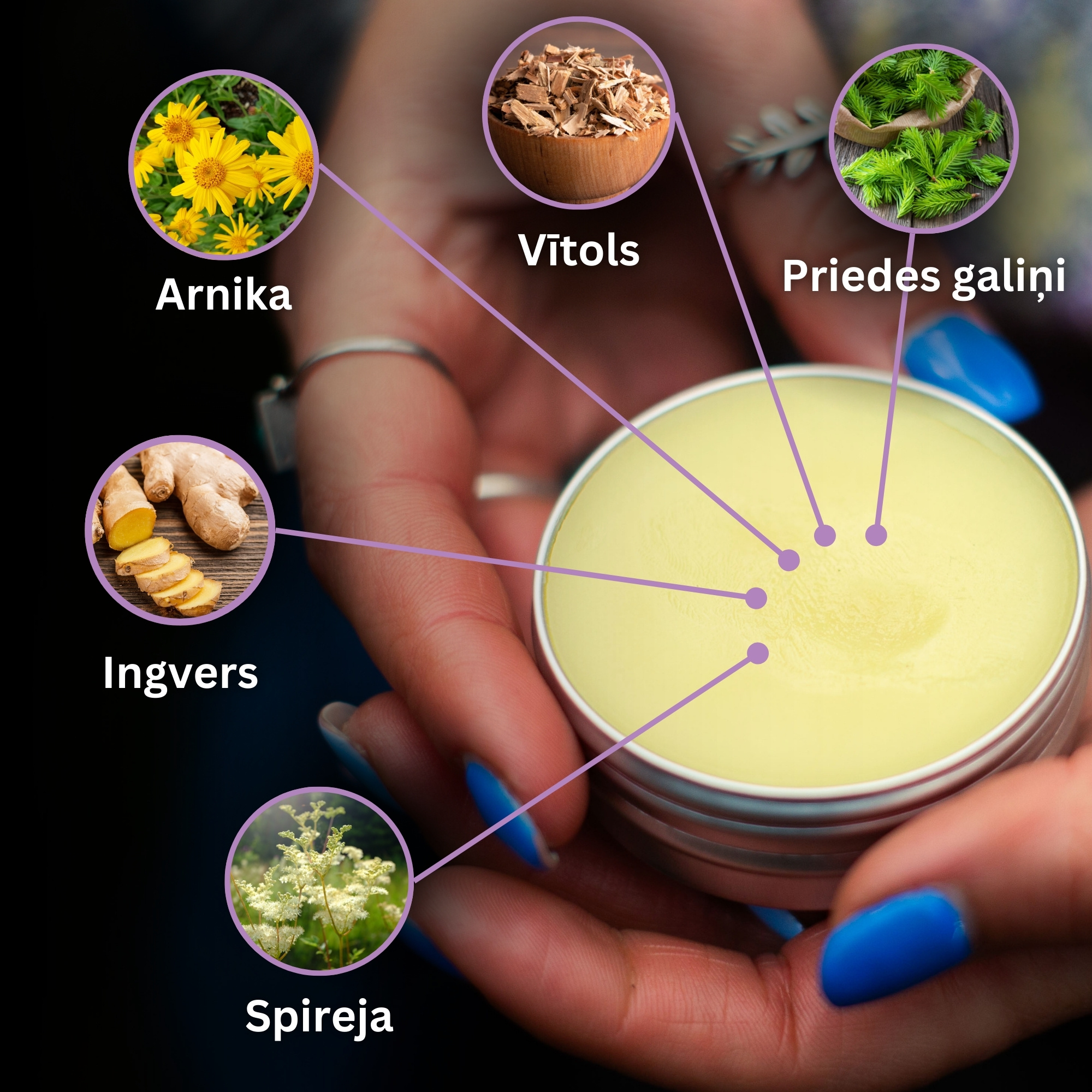 Komplekts "Ziedes locītavu sāpēm, muskuļu sāpēm un sasitumiem 2"