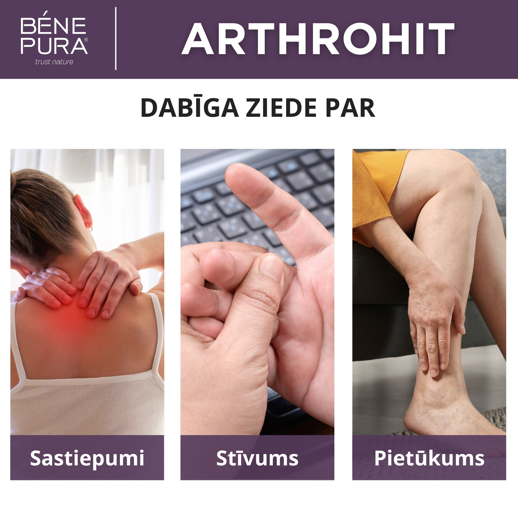 Komplekts "Ziedes locītavu sāpēm, muskuļu sāpēm un sasitumiem 2"