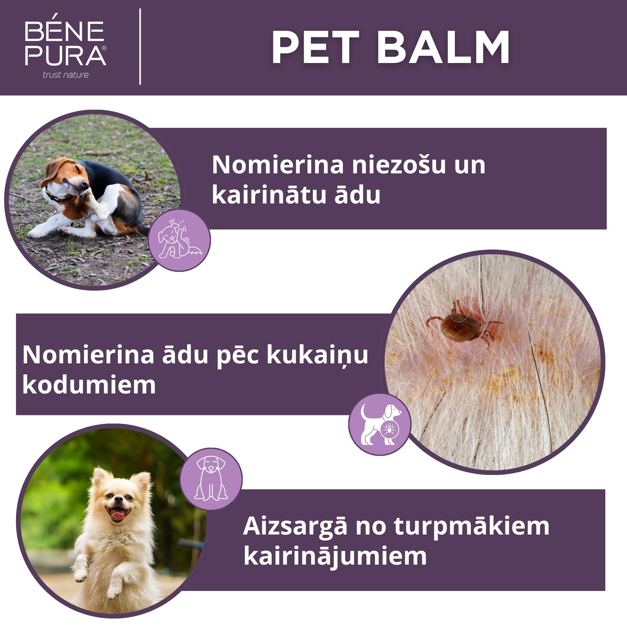 Komplekts "Ziedes suņiem"