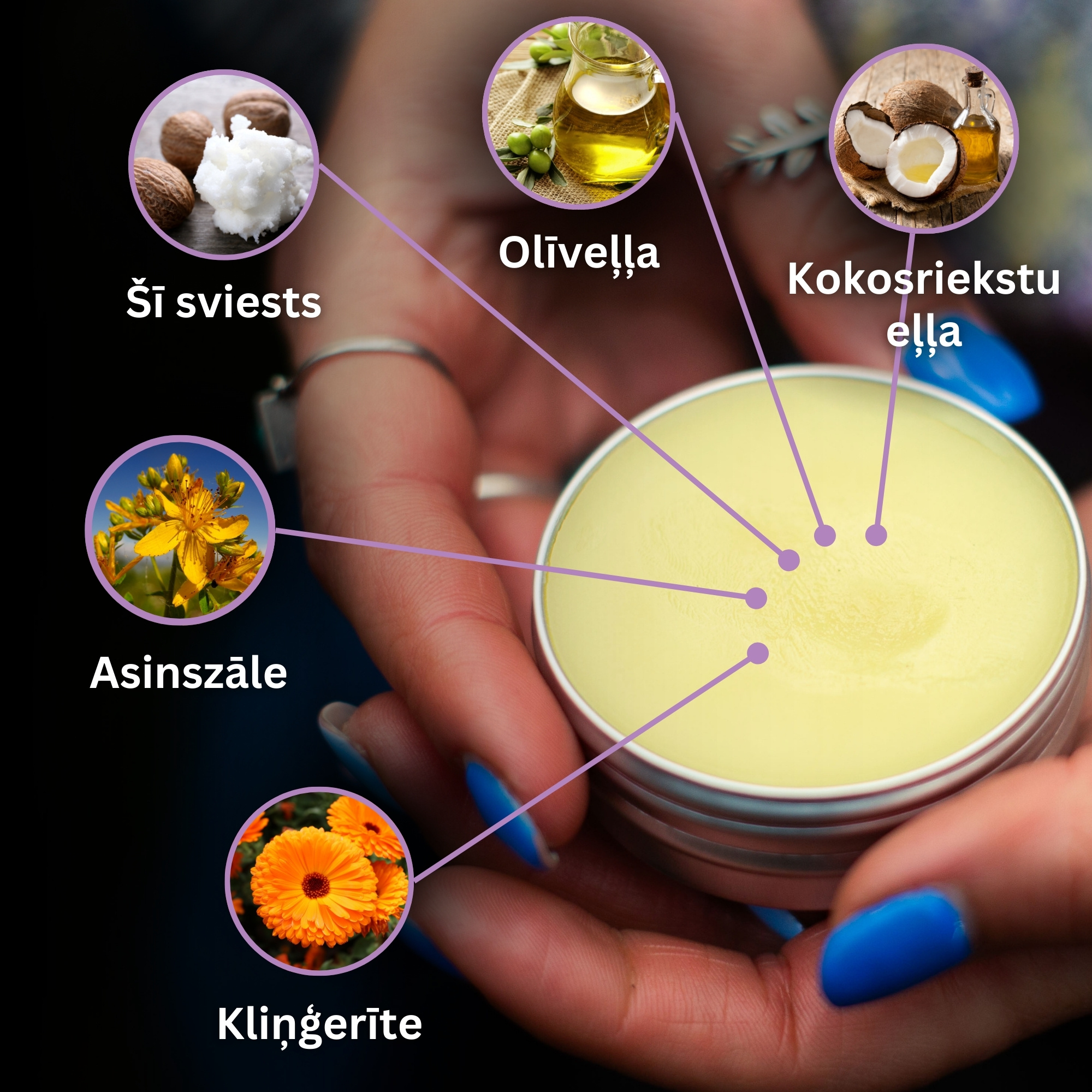 Komplekts "Ziedes suņiem"