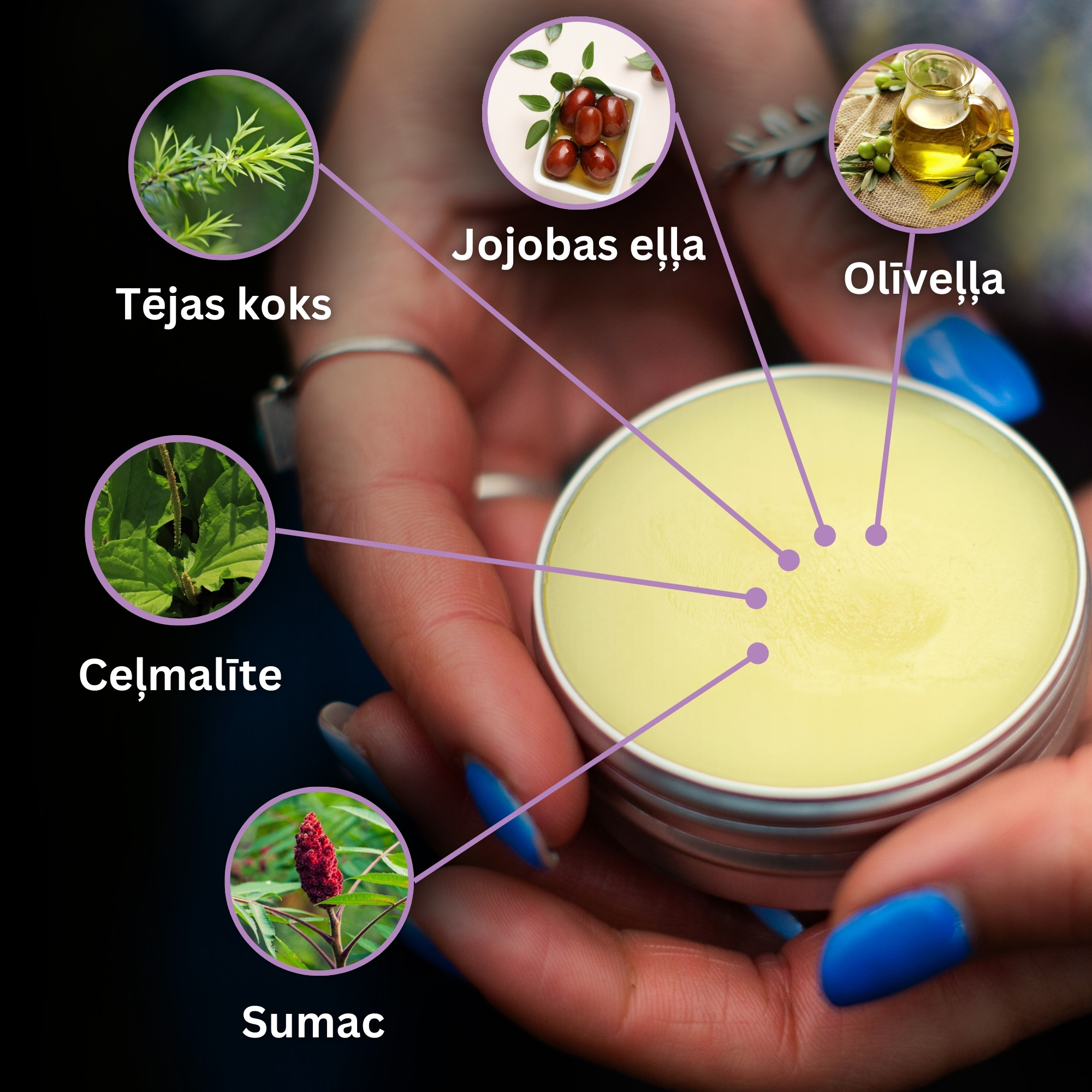 Komplekts "Universāls 2"