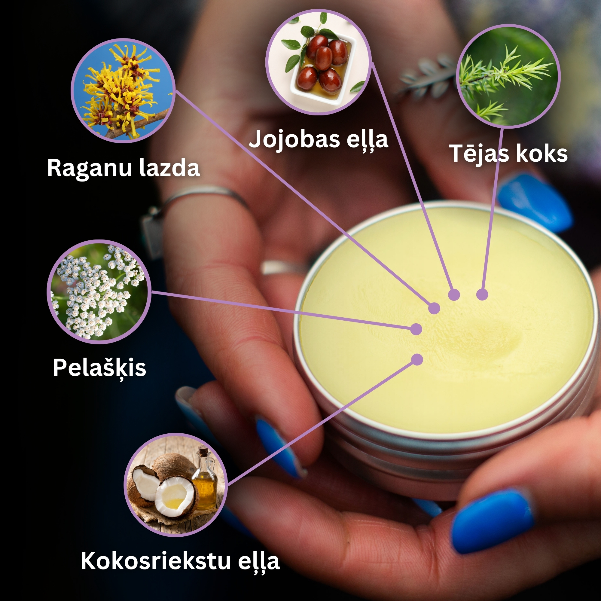 Komplekts "Universāls"